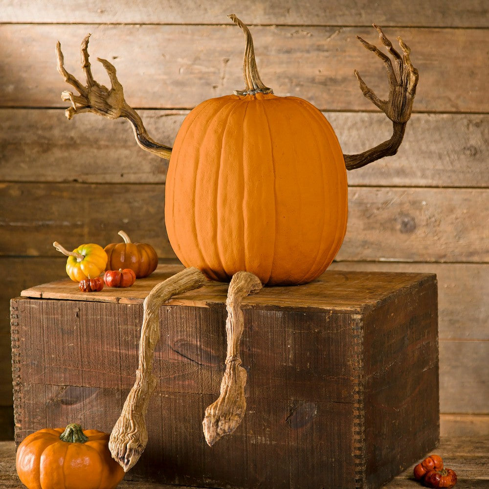Pumpkin Vine Arms and Legs | Plow & Hearth