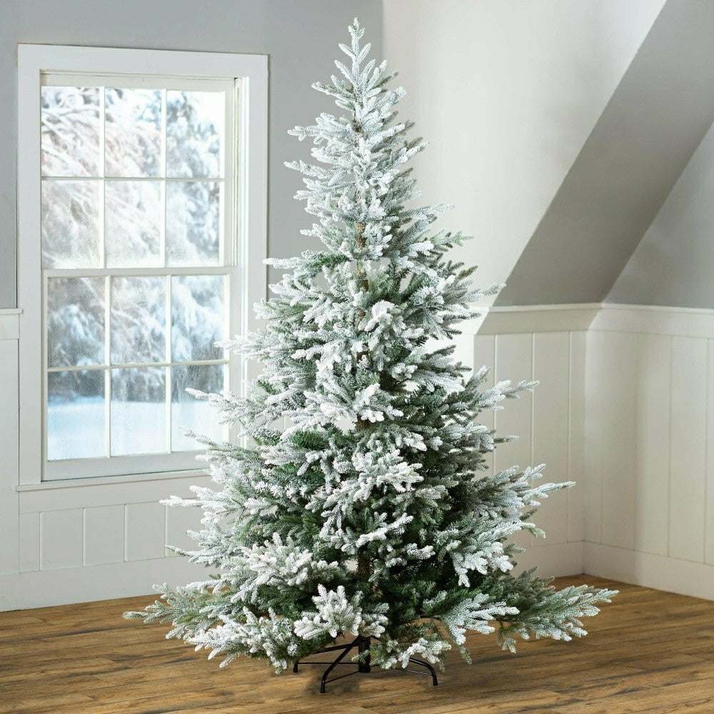 Flocked Roanoke Spruce Christmas Tree | Plow & Hearth