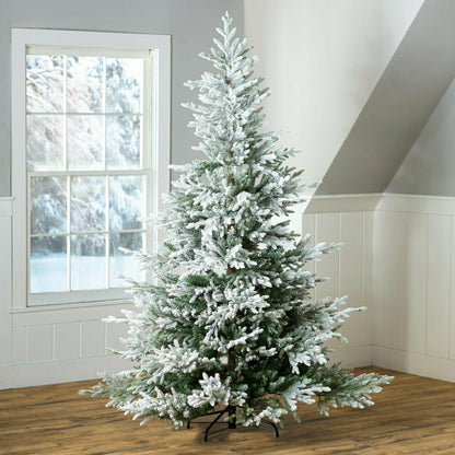 Flocked Roanoke Spruce Christmas Tree | Plow & Hearth