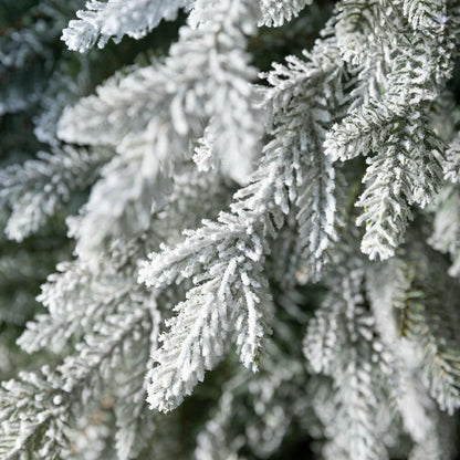 Flocked Roanoke Spruce Christmas Tree | Plow & Hearth