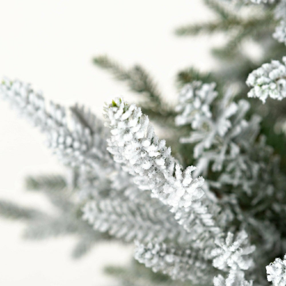Flocked Roanoke Spruce Christmas Tree | Plow & Hearth