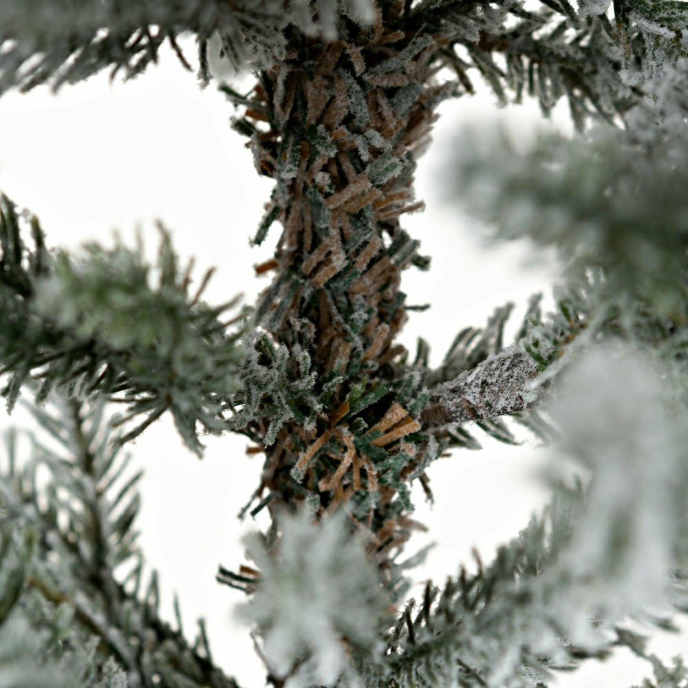 Flocked Roanoke Spruce Christmas Tree | Plow & Hearth