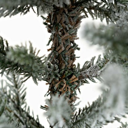 Flocked Roanoke Spruce Christmas Tree | Plow & Hearth