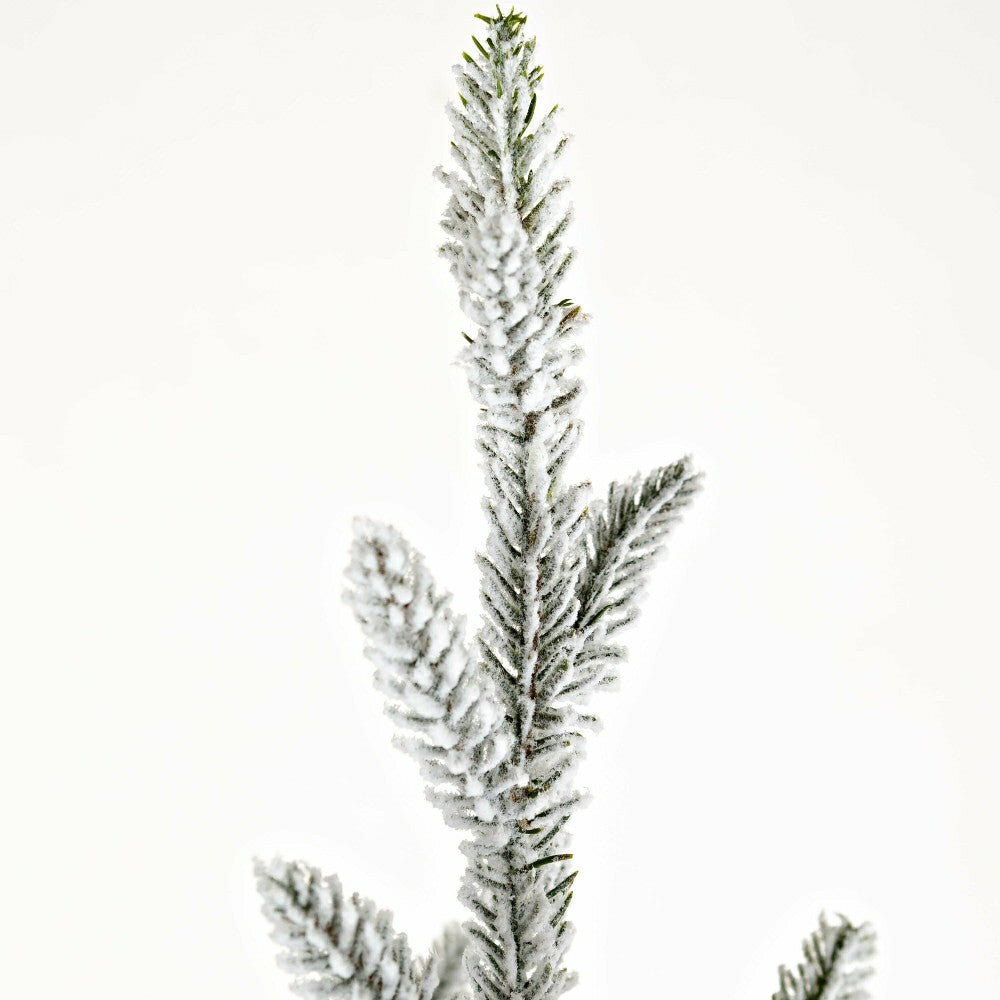 Flocked Roanoke Spruce Christmas Tree | Plow & Hearth