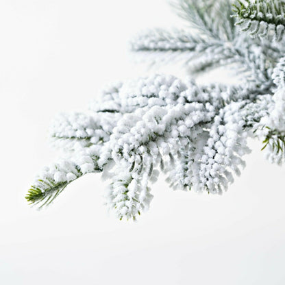 7' Monte Rosa Flocked Alpine Fir Christmas Tree with 200 Warm White LE | Plow & Hearth