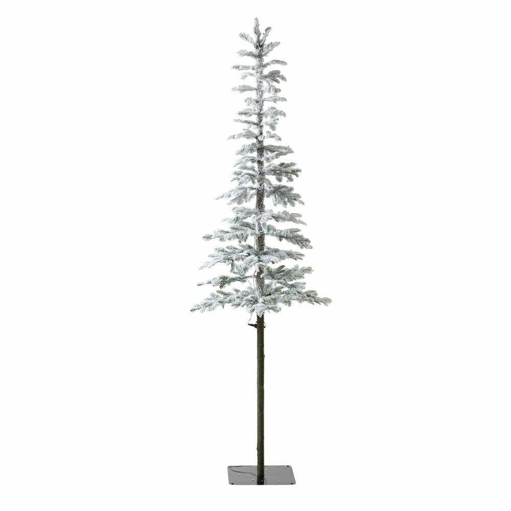 7' Monte Rosa Flocked Alpine Fir Christmas Tree with 200 Warm White LE | Plow & Hearth