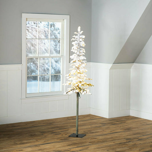 6' Monte Rosa Flocked Alpine Fir Christmas Tree with 150 Warm White LE | Plow & Hearth