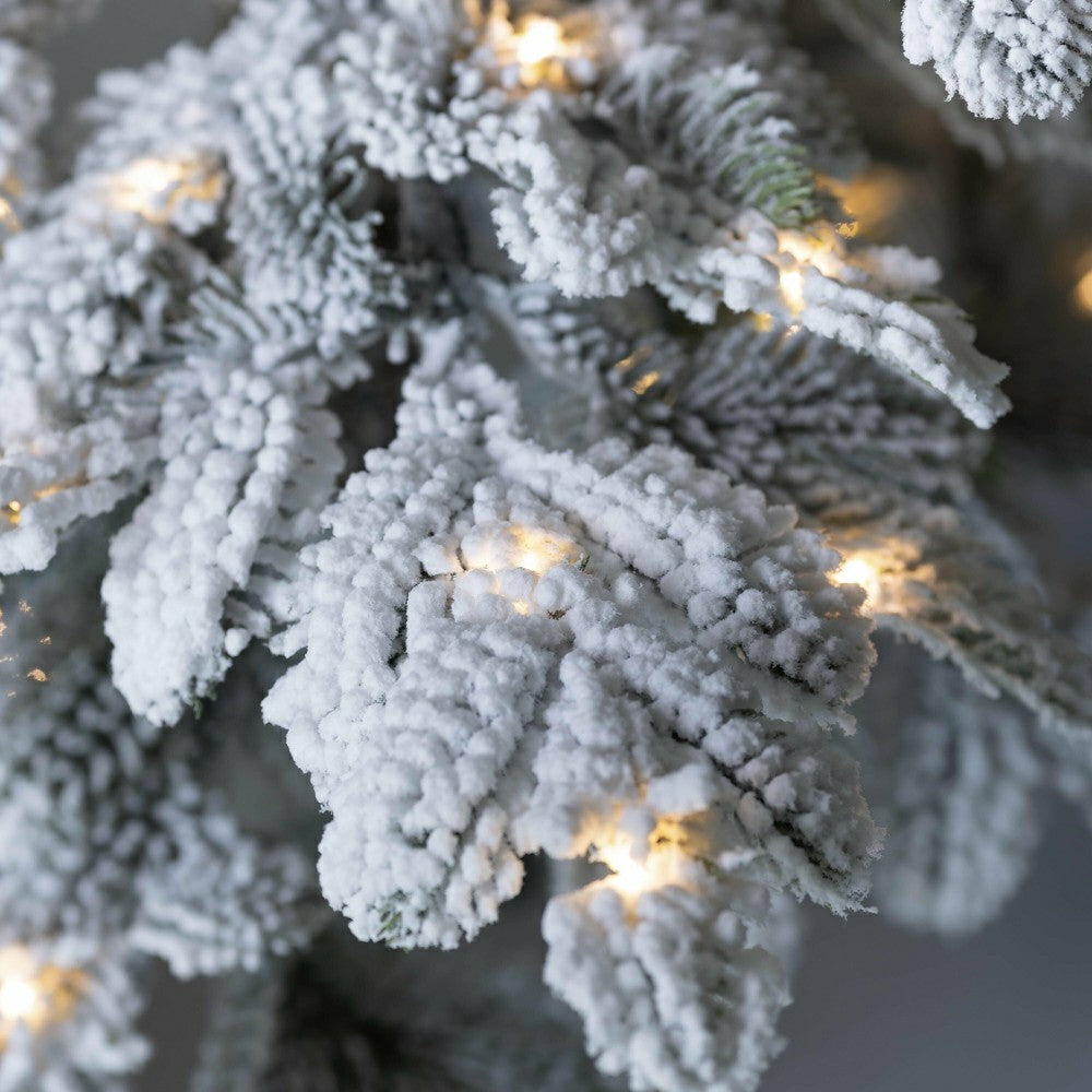 6' Monte Rosa Flocked Alpine Fir Christmas Tree with 150 Warm White LE | Plow & Hearth