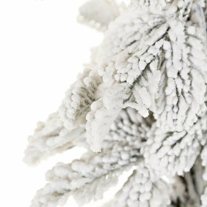 6' Monte Rosa Flocked Alpine Fir Christmas Tree with 150 Warm White LE | Plow & Hearth