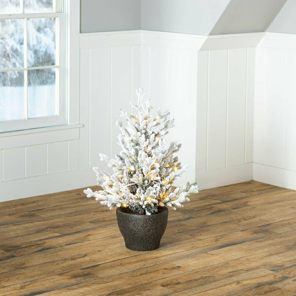 Indoor/Outdoor Flocked Roanoke Spruce Potted Tree with Warm White LEDs | Plow & Hearth