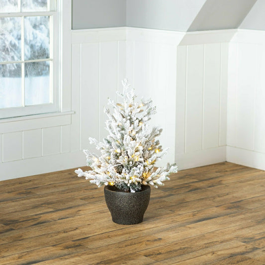 Indoor/Outdoor Flocked Roanoke Spruce Potted Tree with Warm White LEDs | Plow & Hearth