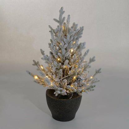 Indoor/Outdoor Flocked Roanoke Spruce Potted Tree with Warm White LEDs | Plow & Hearth