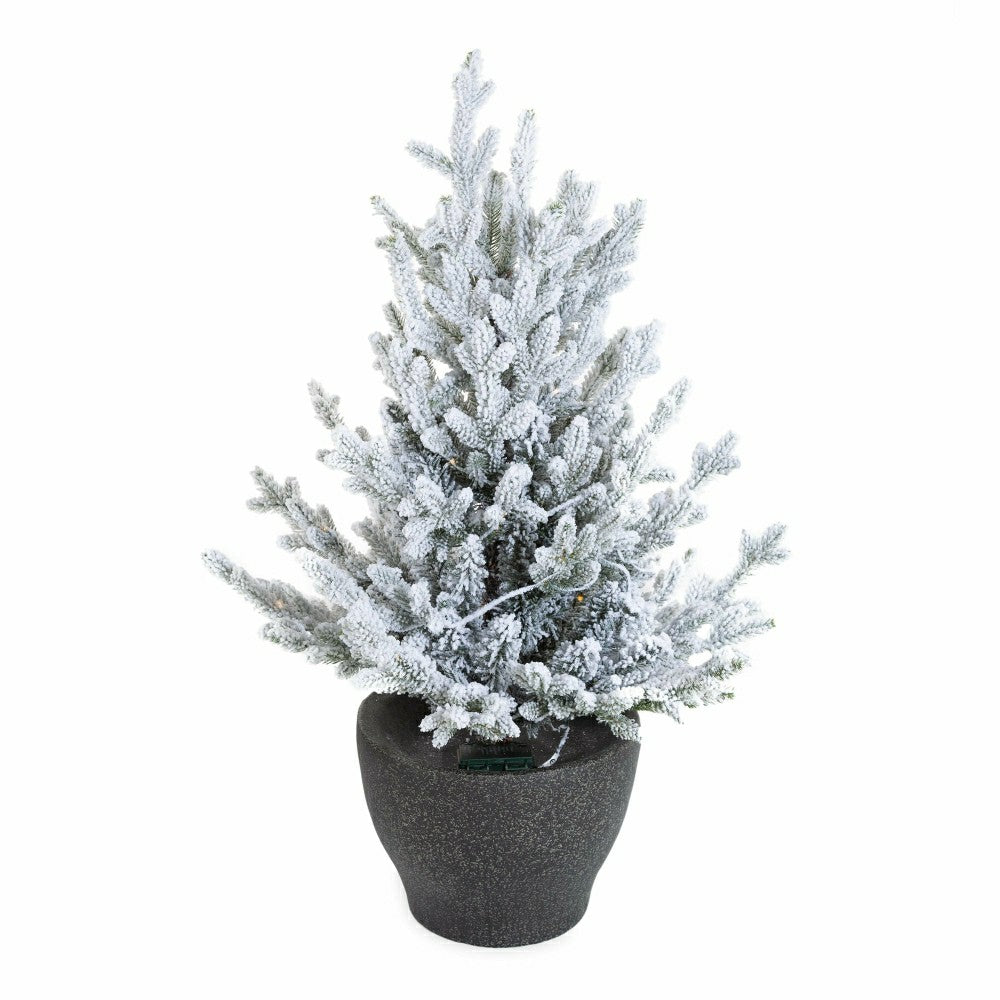 Indoor/Outdoor Flocked Roanoke Spruce Potted Tree with Warm White LEDs | Plow & Hearth
