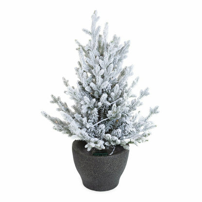 Indoor/Outdoor Flocked Roanoke Spruce Potted Tree with Warm White LEDs | Plow & Hearth