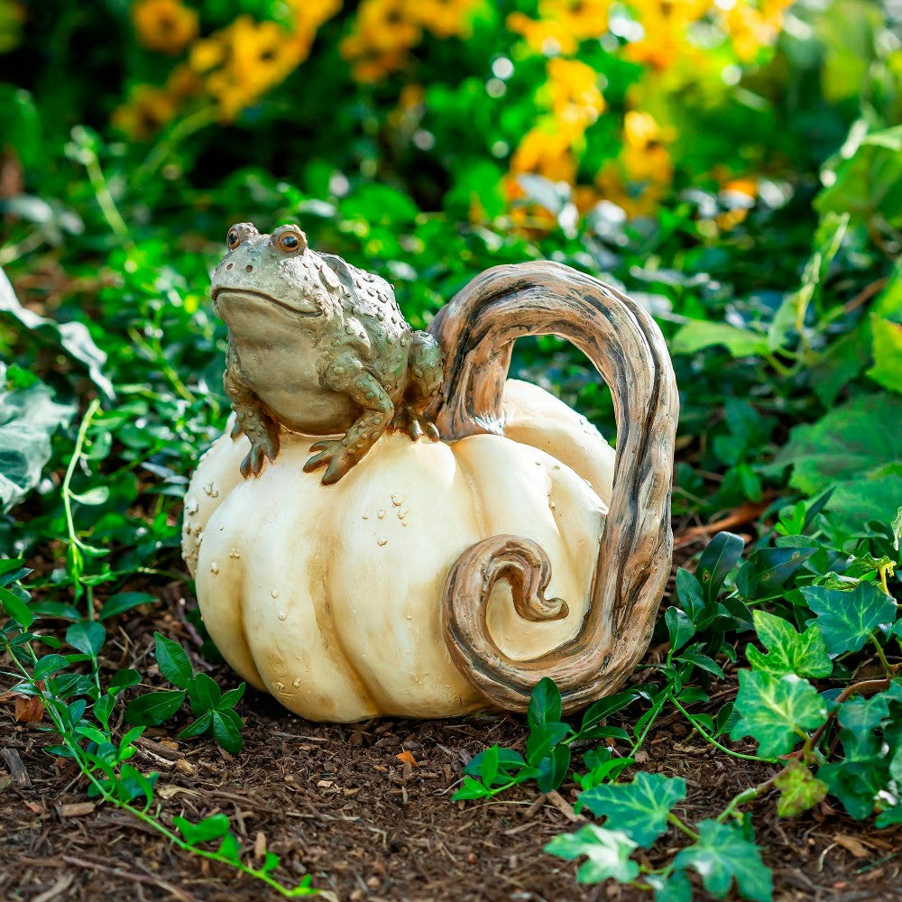 Toad on Pumpkin Statue | Plow & Hearth