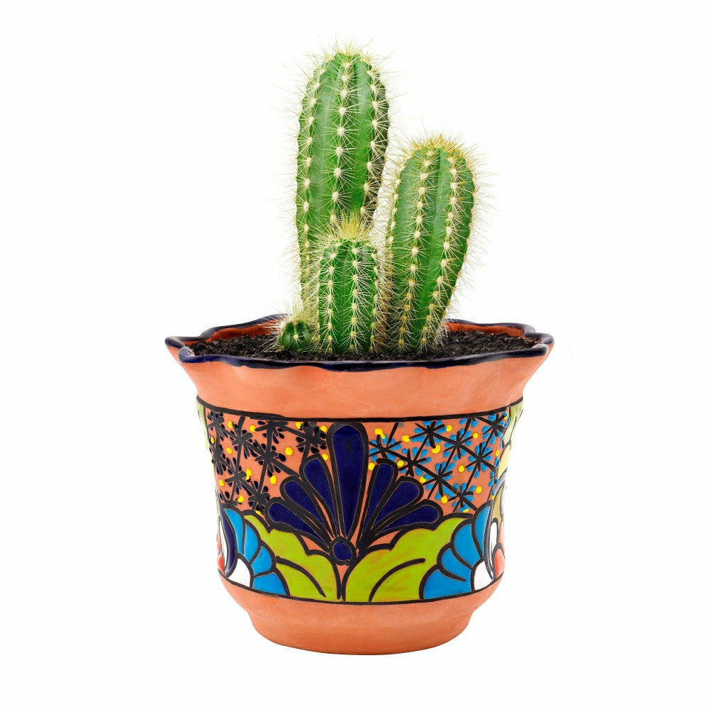Medium Ripple Rim Talavera Flower Pot | Plow & Hearth