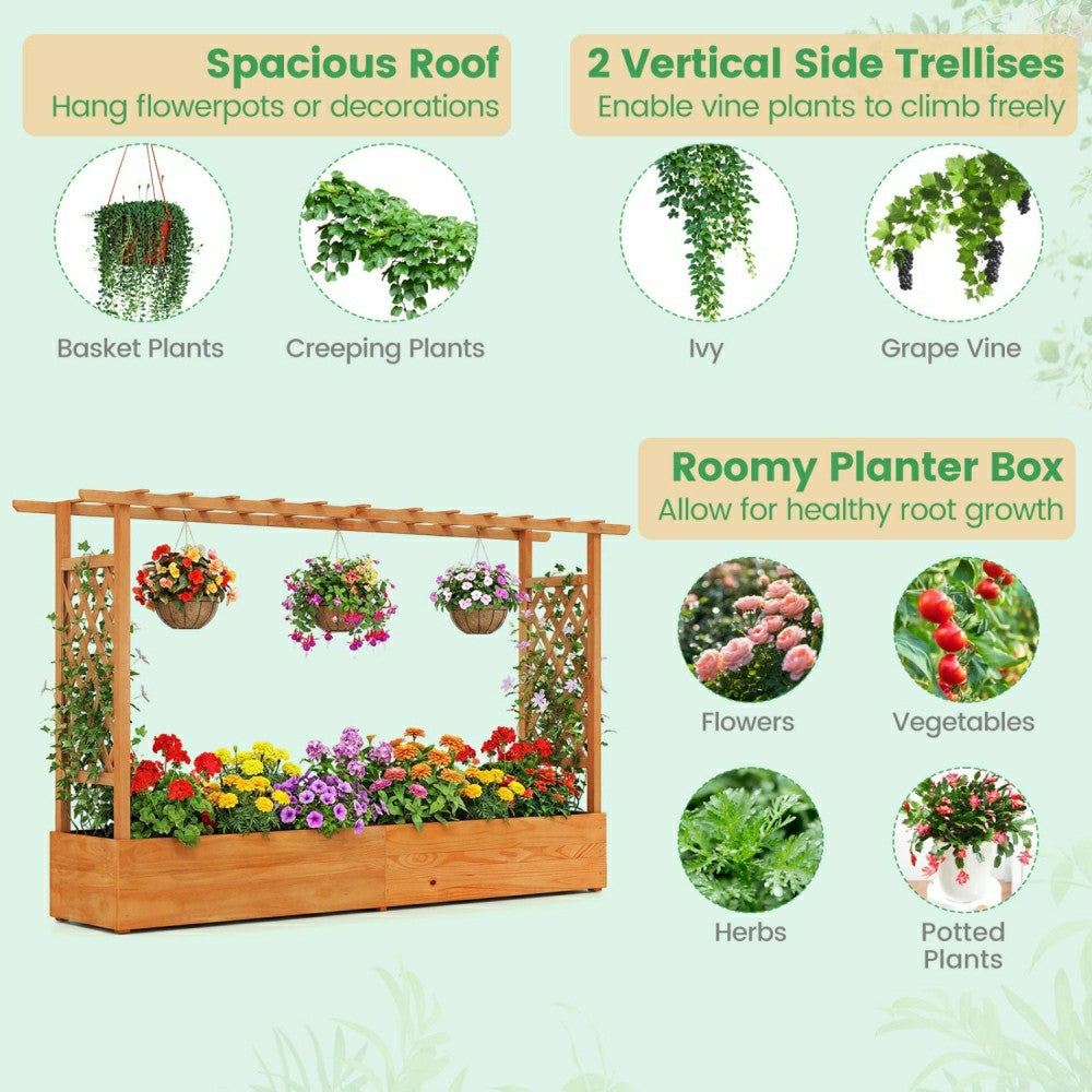 Raised Garden Bed Planter Box with Lattice Trellis | Plow & Hearth