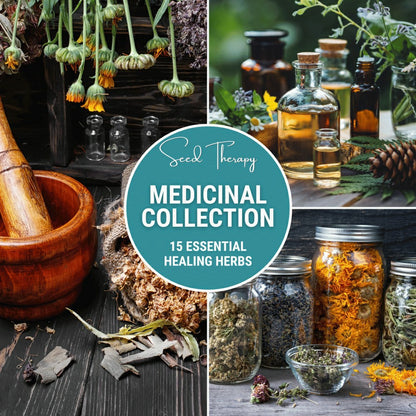 Medicinal Herb Seed Collection – 15 Varieties | Plow & Hearth