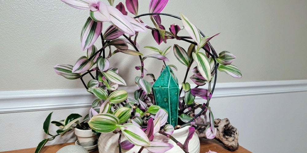 Tall Crystal Plant Watering Spike | Plow & Hearth