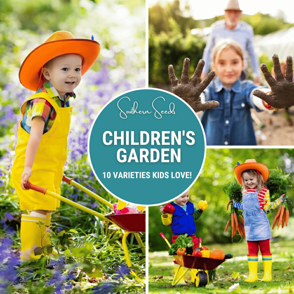 Kids Garden Seed Collection – 10 Varieties | Plow & Hearth