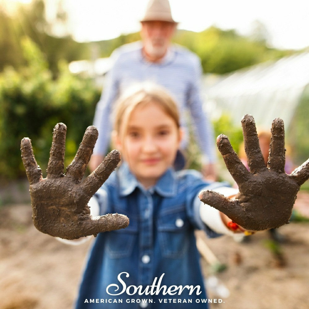 Kids Garden Seed Collection – 10 Varieties | Plow & Hearth