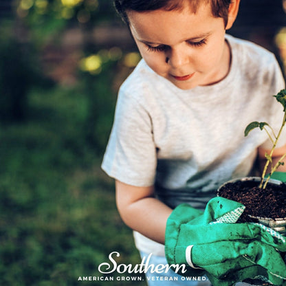 Kids Garden Seed Collection – 10 Varieties | Plow & Hearth