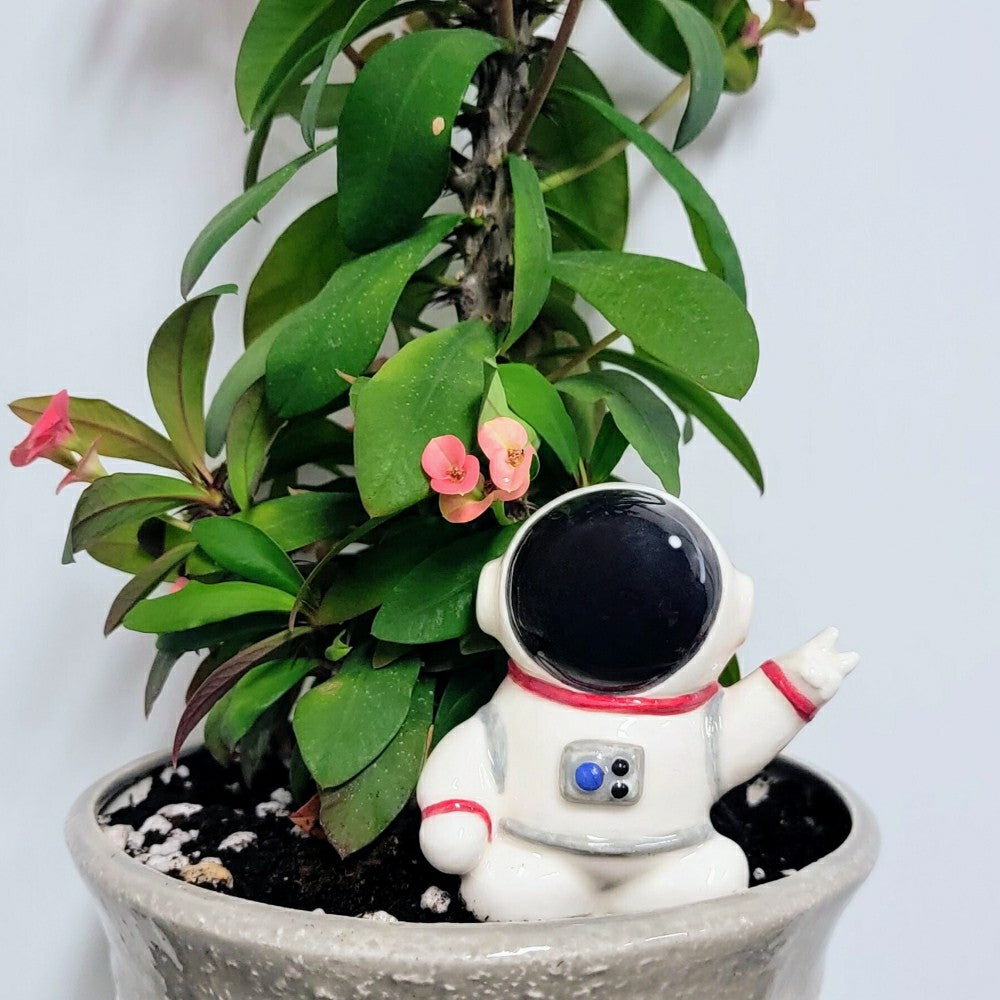 Ceramic Self-Watering Plant Spike - Astronaut Watering Spike | Plow & Hearth