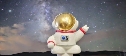 Ceramic Self-Watering Plant Spike - Astronaut Watering Spike | Plow & Hearth
