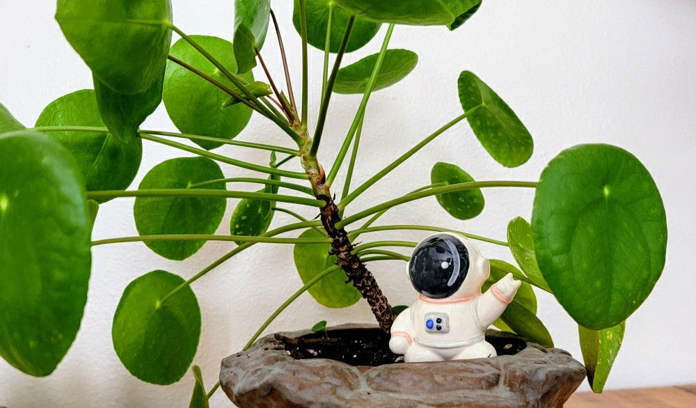 Ceramic Self-Watering Plant Spike - Astronaut Watering Spike | Plow & Hearth