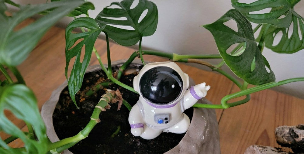 Ceramic Self-Watering Plant Spike - Astronaut Watering Spike | Plow & Hearth