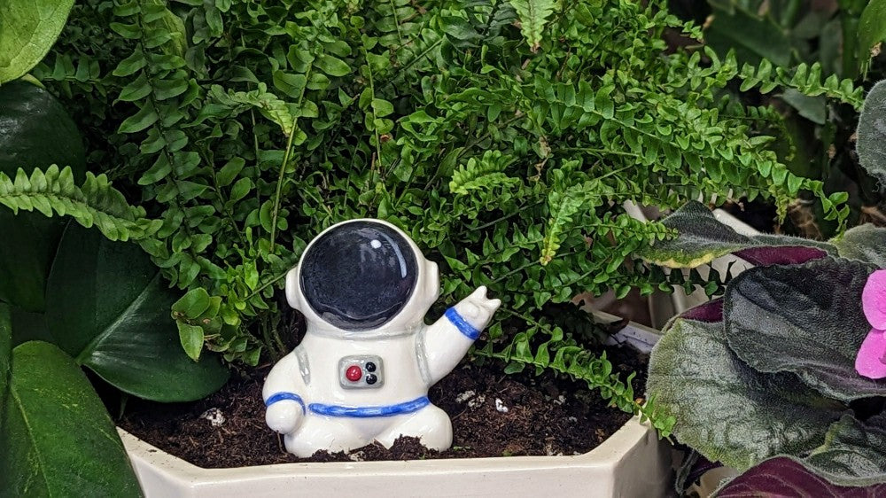 Ceramic Self-Watering Plant Spike - Astronaut Watering Spike | Plow & Hearth