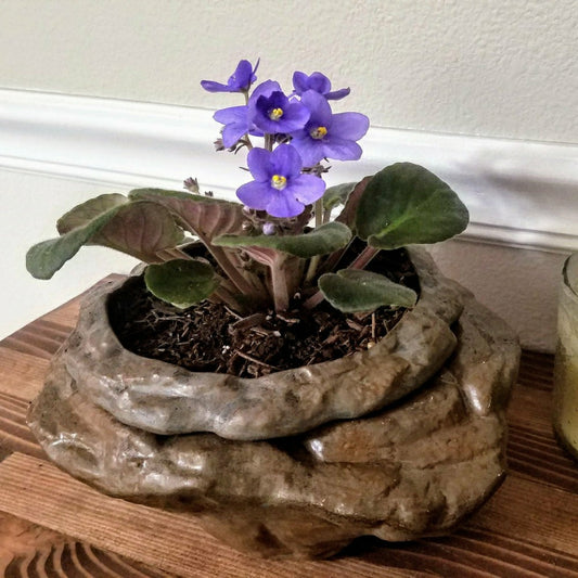 Large Natural Stone Self Watering / African Violet Pot | Plow & Hearth