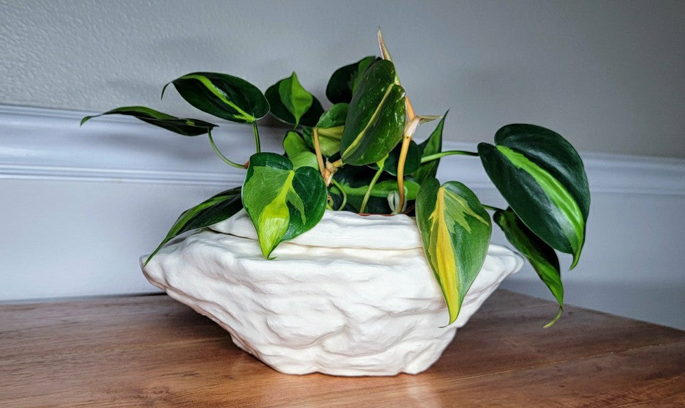Large Natural Stone Self Watering / African Violet Pot | Plow & Hearth