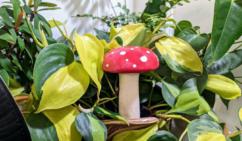Large Mushroom Watering Spike | Plow & Hearth