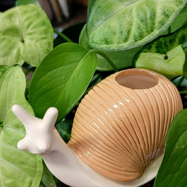Snail Watering Spike | Plow & Hearth