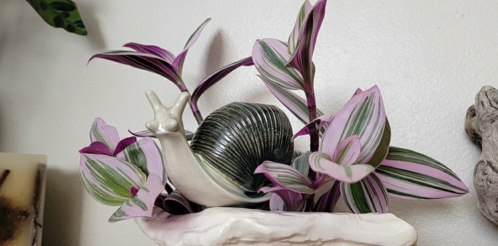 Snail Watering Spike | Plow & Hearth