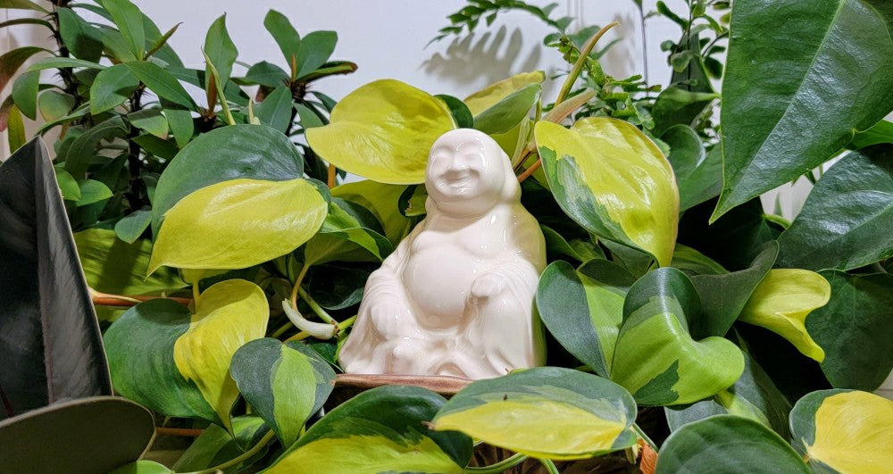 Buddha Watering Spike | Plow & Hearth