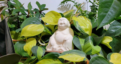Buddha Watering Spike | Plow & Hearth