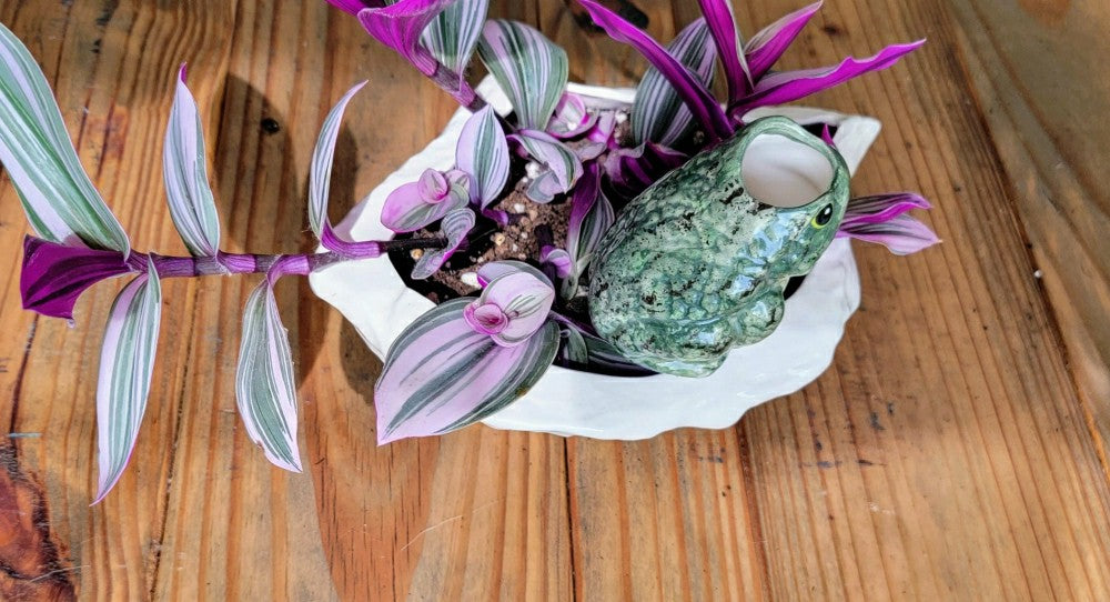 Frog Watering Spike | Plow & Hearth