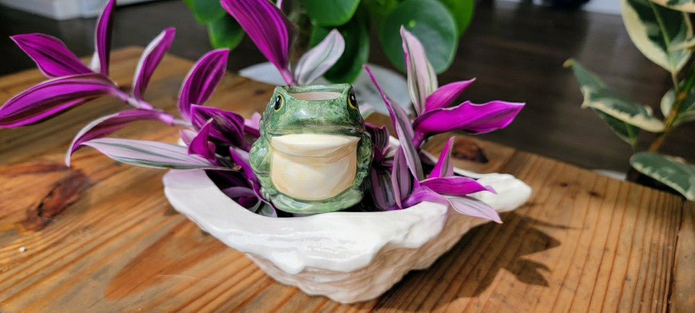 Frog Watering Spike | Plow & Hearth