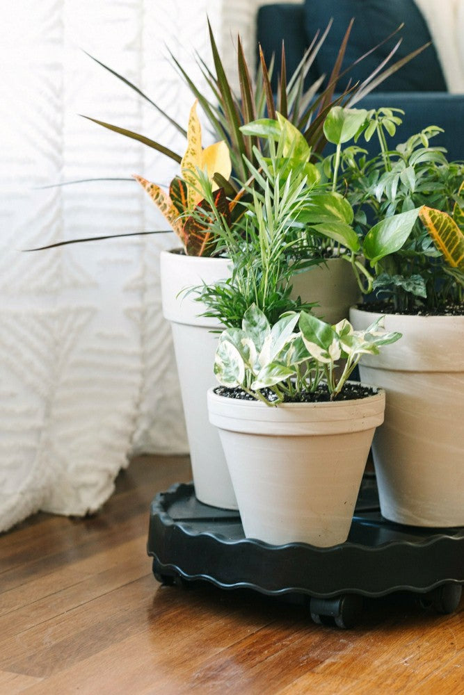 GreenStalk Garden Ultimate Mover | Plow & Hearth