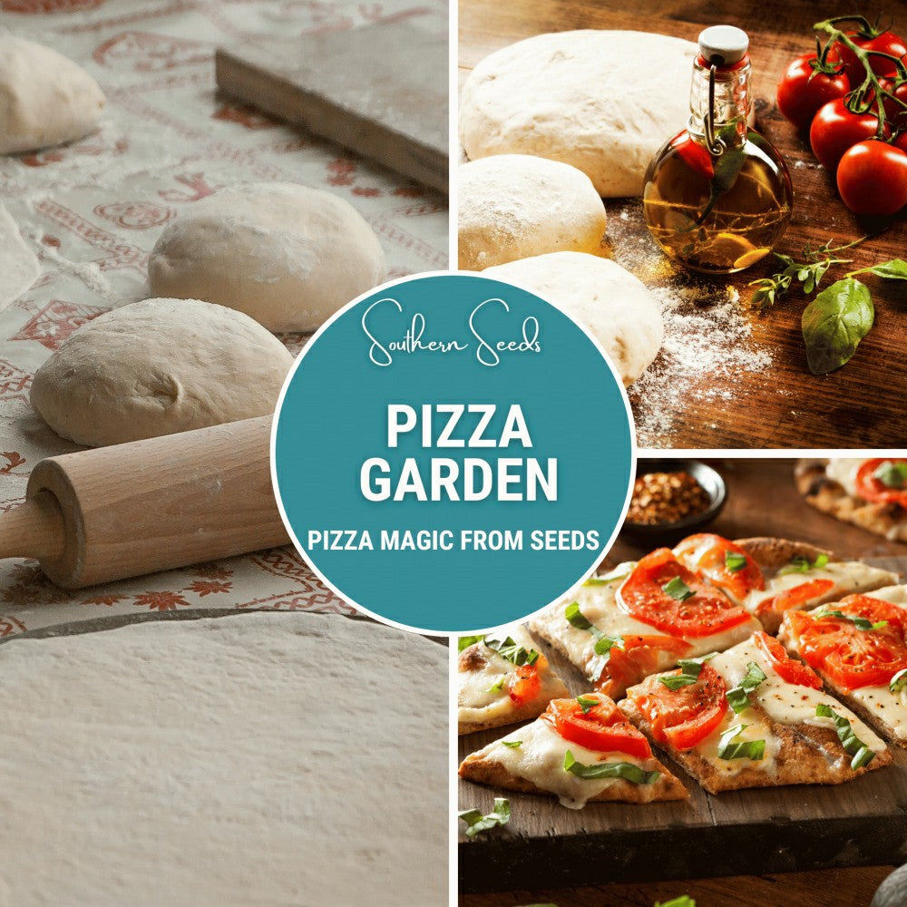 Pizza Garden Seed Collection – 10 Amazing Varieties | Plow & Hearth