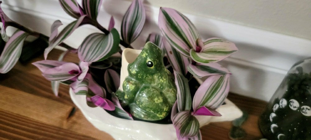 Open-Mouth Frog Plant Watering Spike | Plow & Hearth