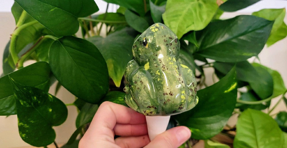 Open-Mouth Frog Plant Watering Spike | Plow & Hearth