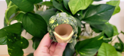 Open-Mouth Frog Plant Watering Spike | Plow & Hearth