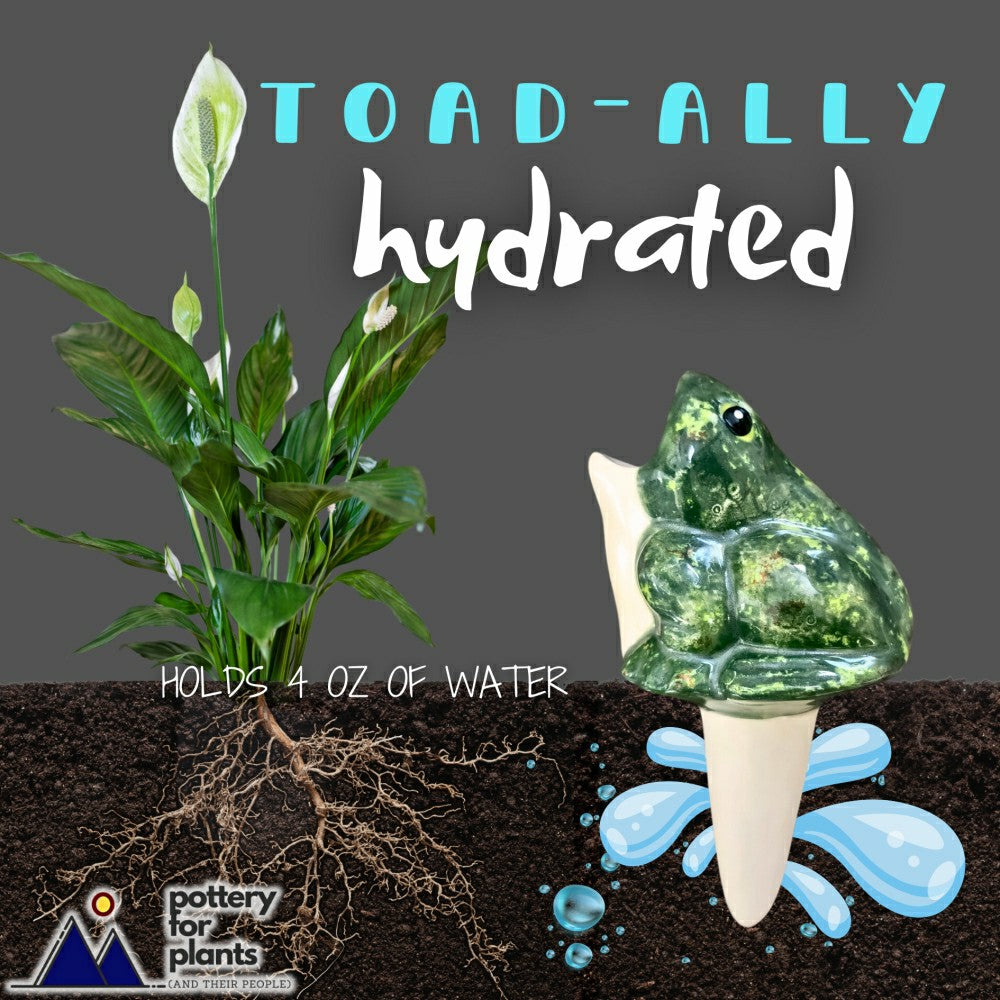 Open-Mouth Frog Plant Watering Spike | Plow & Hearth