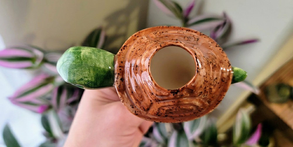 Turtle Plant Watering Spike | Plow & Hearth