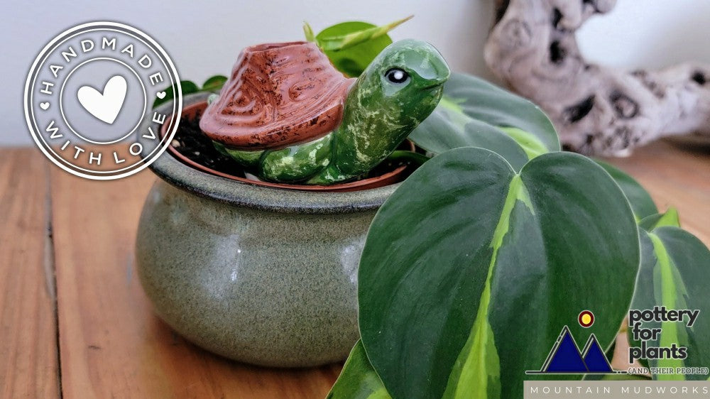Turtle Plant Watering Spike | Plow & Hearth