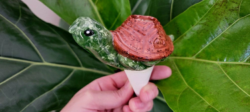 Turtle Plant Watering Spike | Plow & Hearth