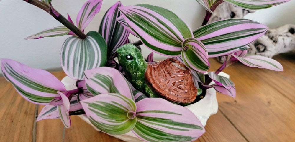 Turtle Plant Watering Spike | Plow & Hearth